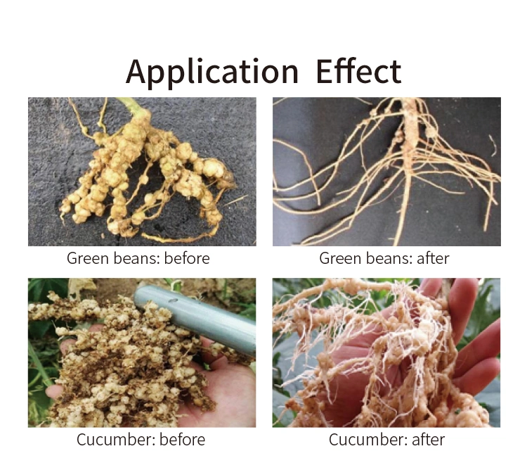 Bio Cut Biological Organic Liquid Stimulant Fertilizer for Nematodes