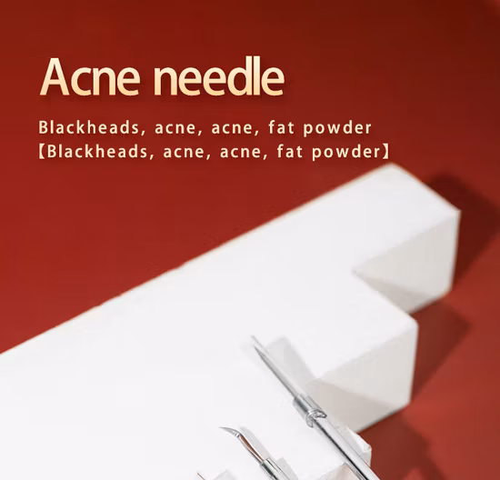 Aiguilles d'élimination des points noirs d'acné en acier inoxydable, outil pratique de nettoyage du visage